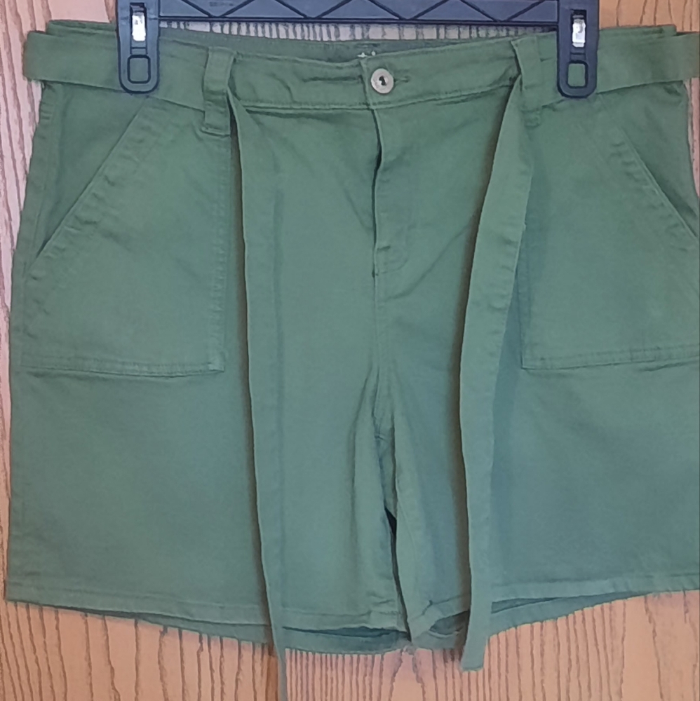 Style & CO Womens Vine Green Tie Waist Shorts Size 14